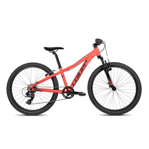 Bicicleta Junior 24