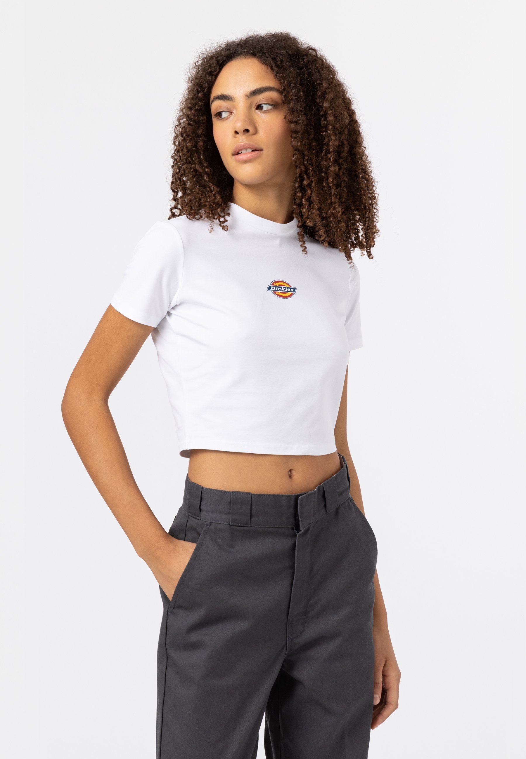 Magliette Dickies