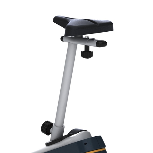 Vertikales Horizon Fitness B901 Tempo-Fahrrad
