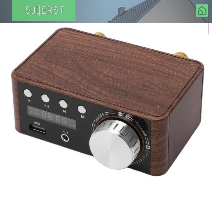 sjlerst Mini Amplificateur Bluetooth 5.0 Stéréo HiFi 50W x2 avec Entrée USB
