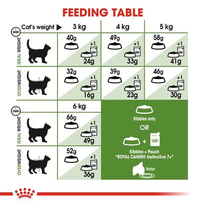 Royal Canin Outdoor 7+