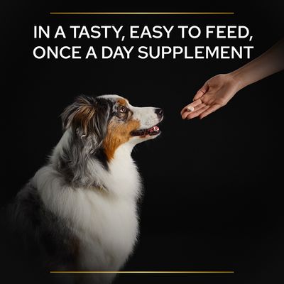PRO PLAN Natürliche Abwehrkräfte Nahrungsergänzungsmittel für Hunde (Tabletten)