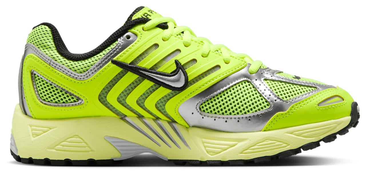 Nike Air Pegasus 2005
