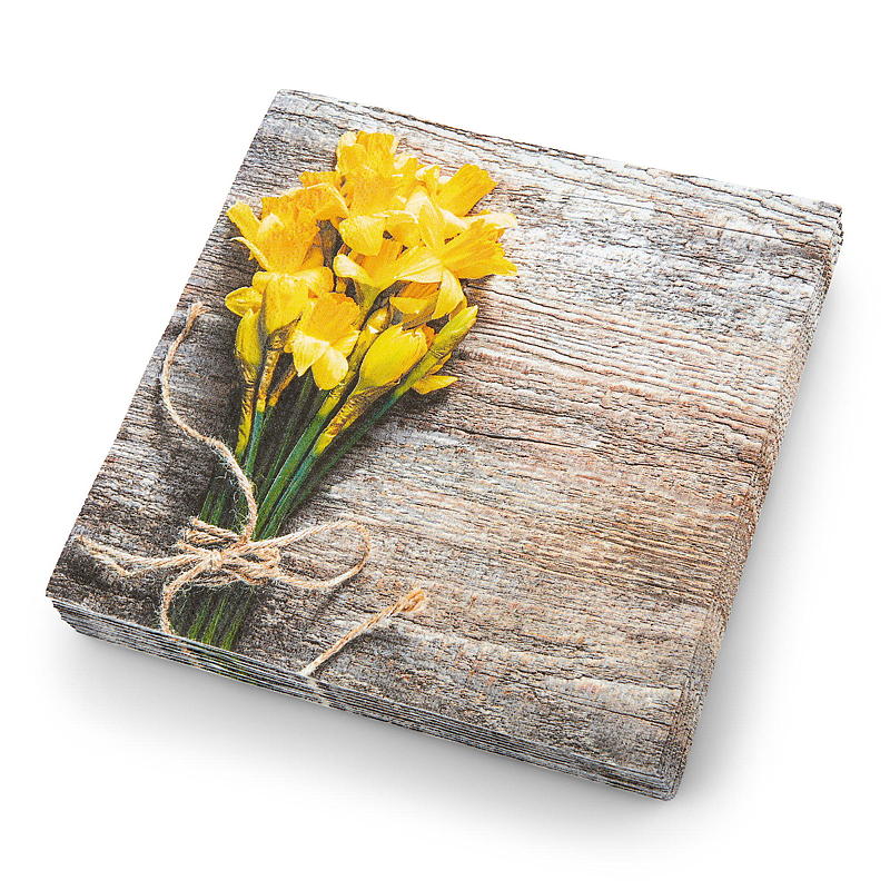 Vie Home -lautasliinat 20 kpl 33x33 cm, pääsiäinen