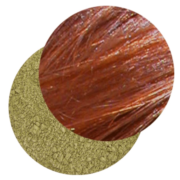 Henné egiziano - Tintura per capelli a base vegetale