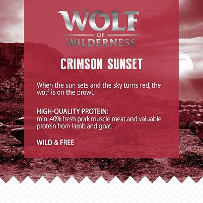 Wolf of Wilderness Vuxen 