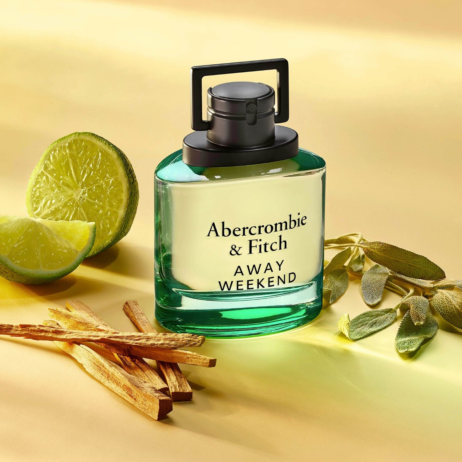 Abercrombie & Fitch WEEKEND Homme
