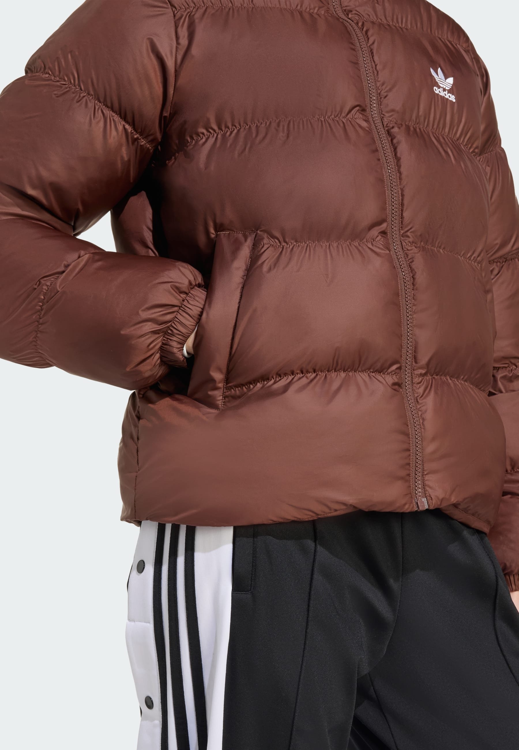 adidas Originals winterjassen