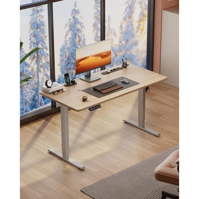 HLONONE Bureau Assis Debout Electrique, 120 x 60 cm, Table Reglable Hauteur, avec Prise Intégrée, Port USB, Couleur du Bois