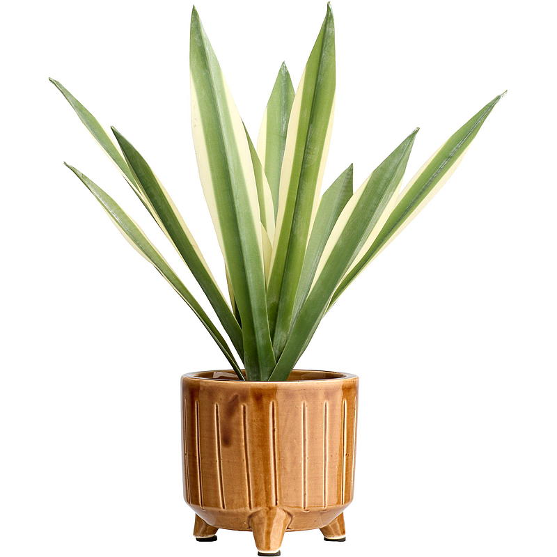 Künstliche Maguey-Sukkulente, 40 cm
