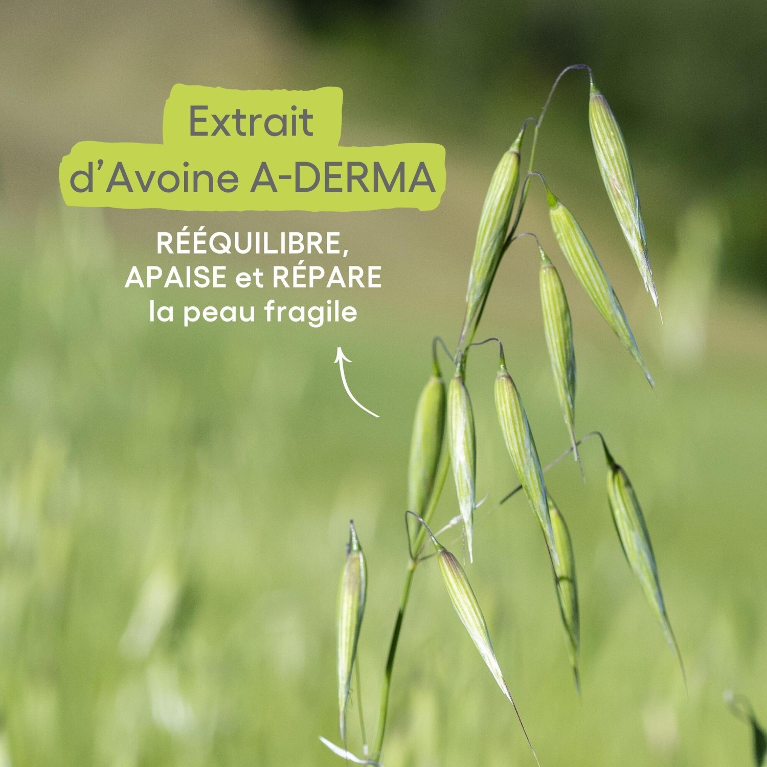 A-DERMA Stick lèvres
