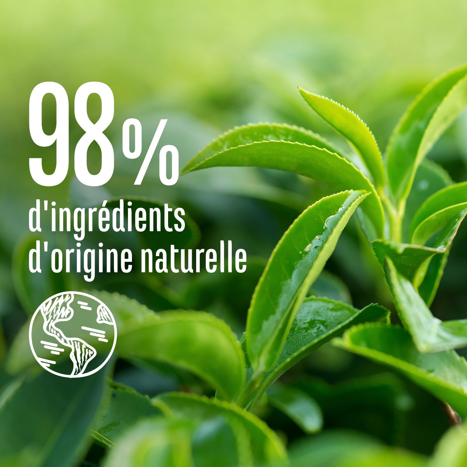 Le Petit Marseillais Shampooing infusion DÃ©tox thym et thÃ©vert Bio - Le flacon de