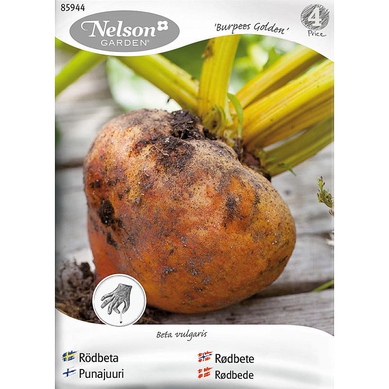 Nelson hage rødbetfrø Burpees Golden