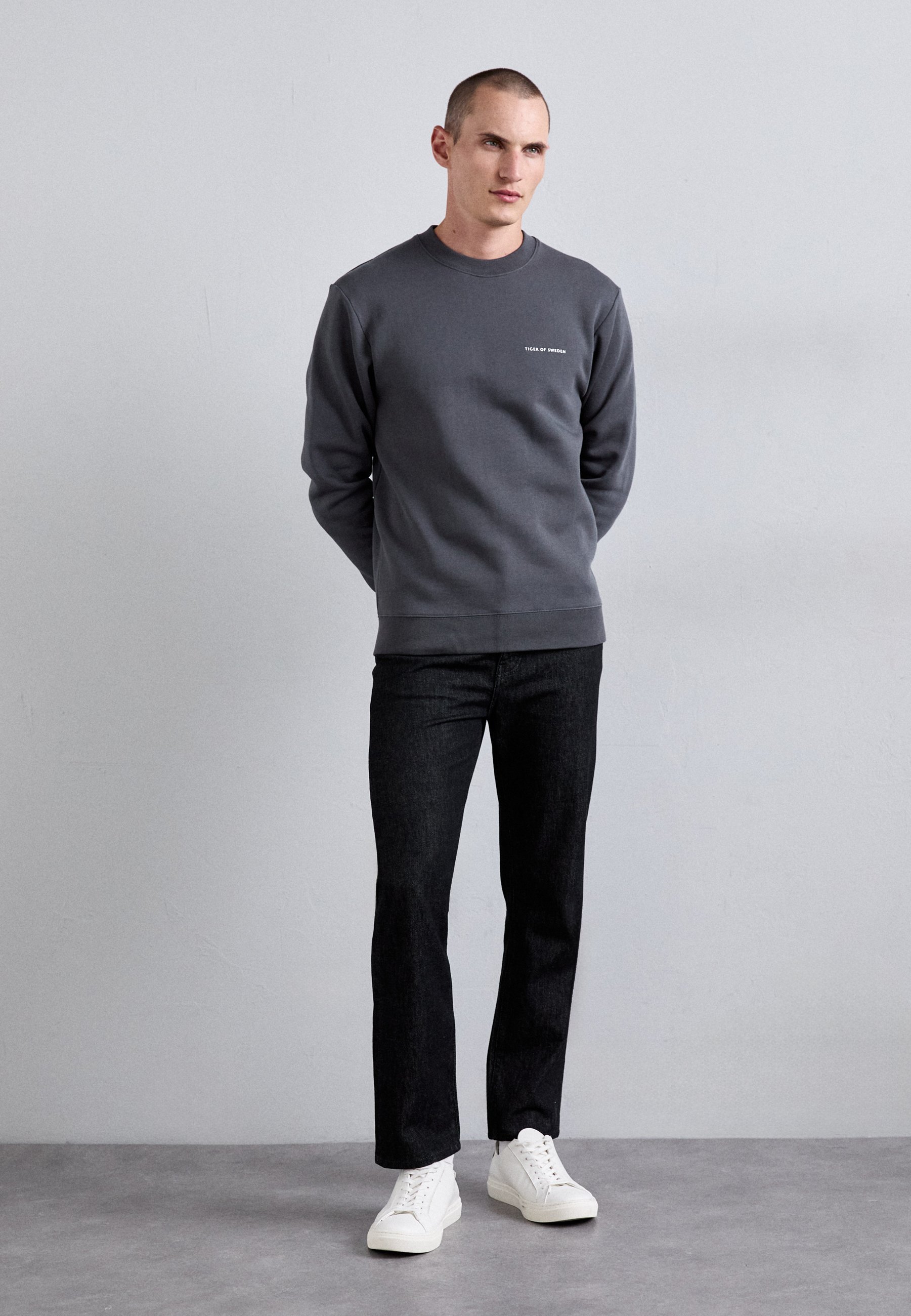Tiger of Sweden EMERSON - Bluza - srebrna