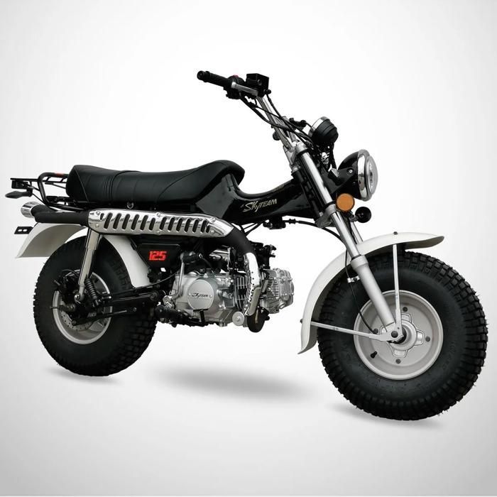 Mini Moto T-REX 125 SKYTEAM / Noir