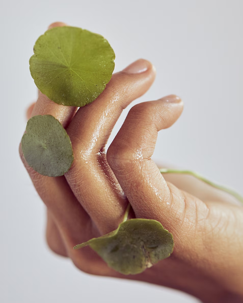ERBORIAN CENTELLA ASIATICA ΚΑΘΑΡΙΣΤΙΚΟ ΤΖΕΛ ΚΑΤΑΠΡΑΫΝΤΙΚΟ ΉΠΙΟ ΤΖΕΛ ΚΑΘΑΡΙΣΜΟΥ