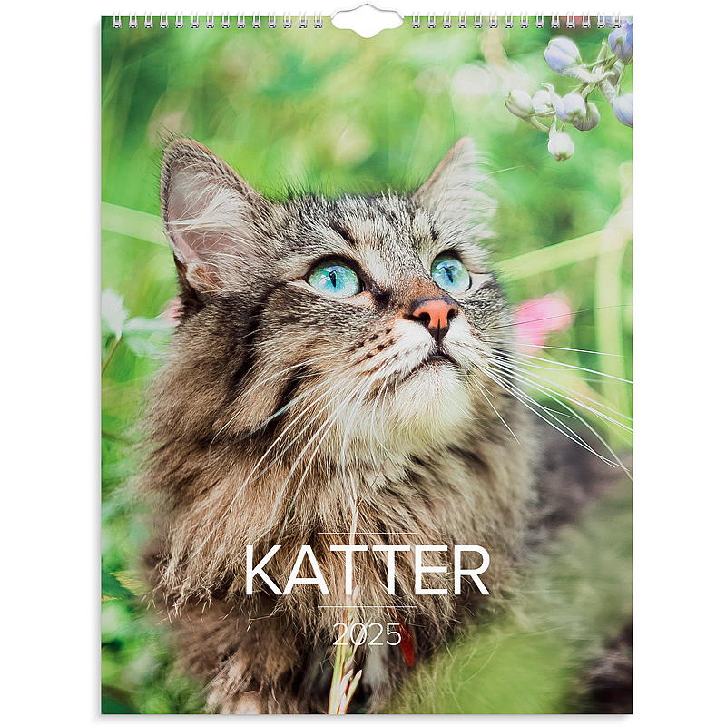 Väggkalender katter 2025