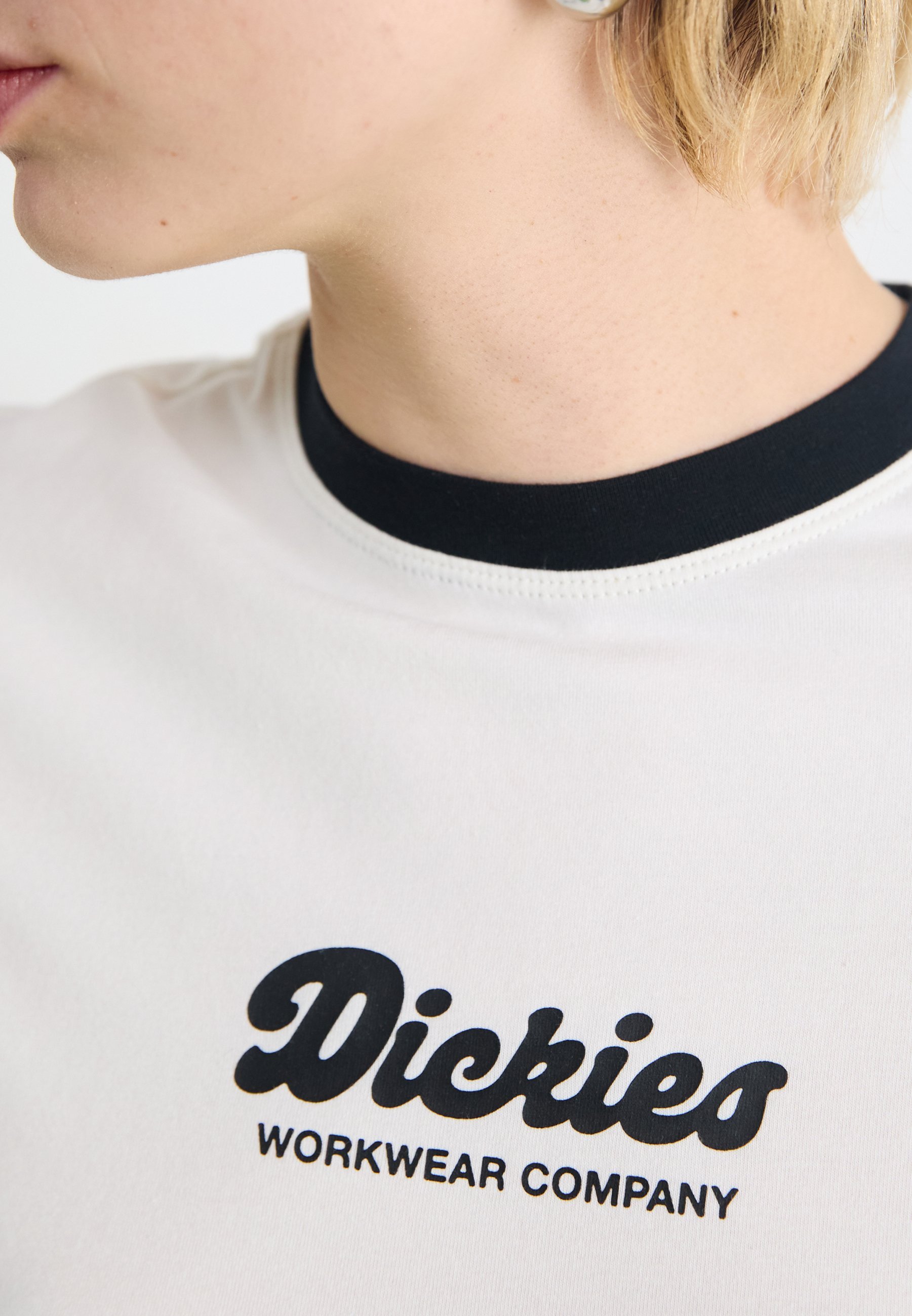 Dickies LEWISTOWN RINGER T-shirt - T-shirt met print - zilverreiger