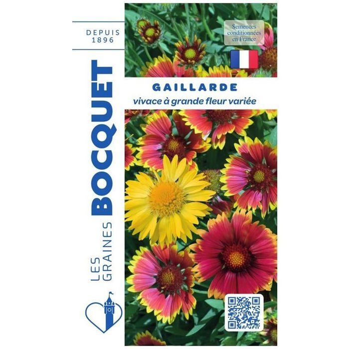 Seed - Large-flowered, varied perennial gaillardia