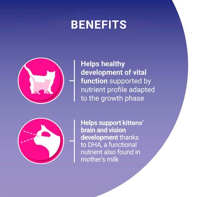 PURINA ONE Light -kana-vehnäkuiva kissanruoka
