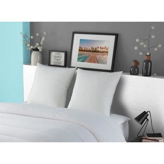 Almohada DODO LUXOR 60x60 cm - 100% algodón - Efecto plumón