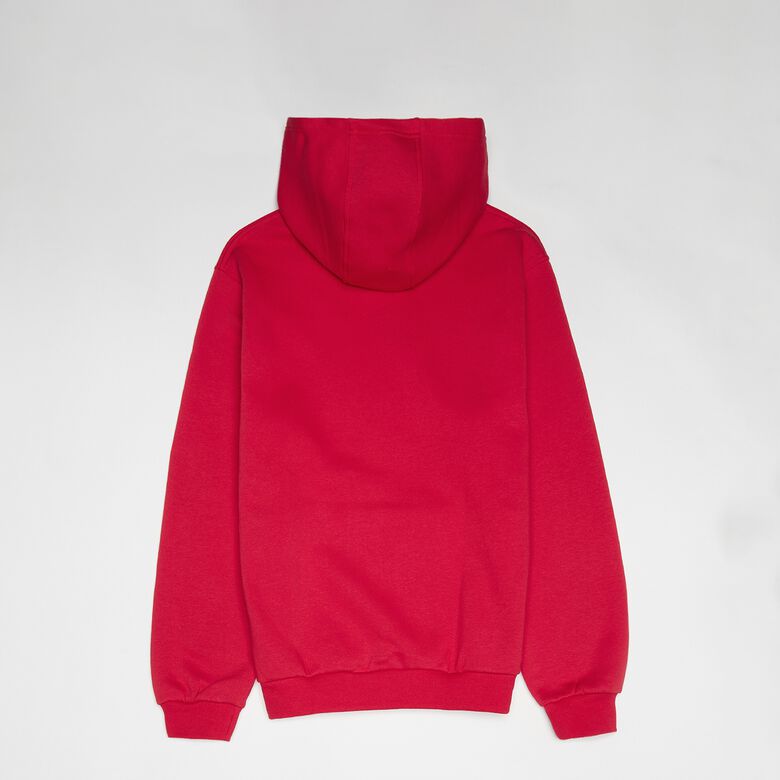Felpa con cappuccio in pile Sportswear Club