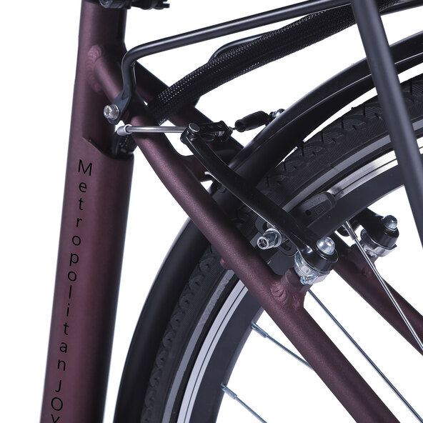 City-E-Bike Metropolitan Joy, Bordeaux-Route, 28 de ani