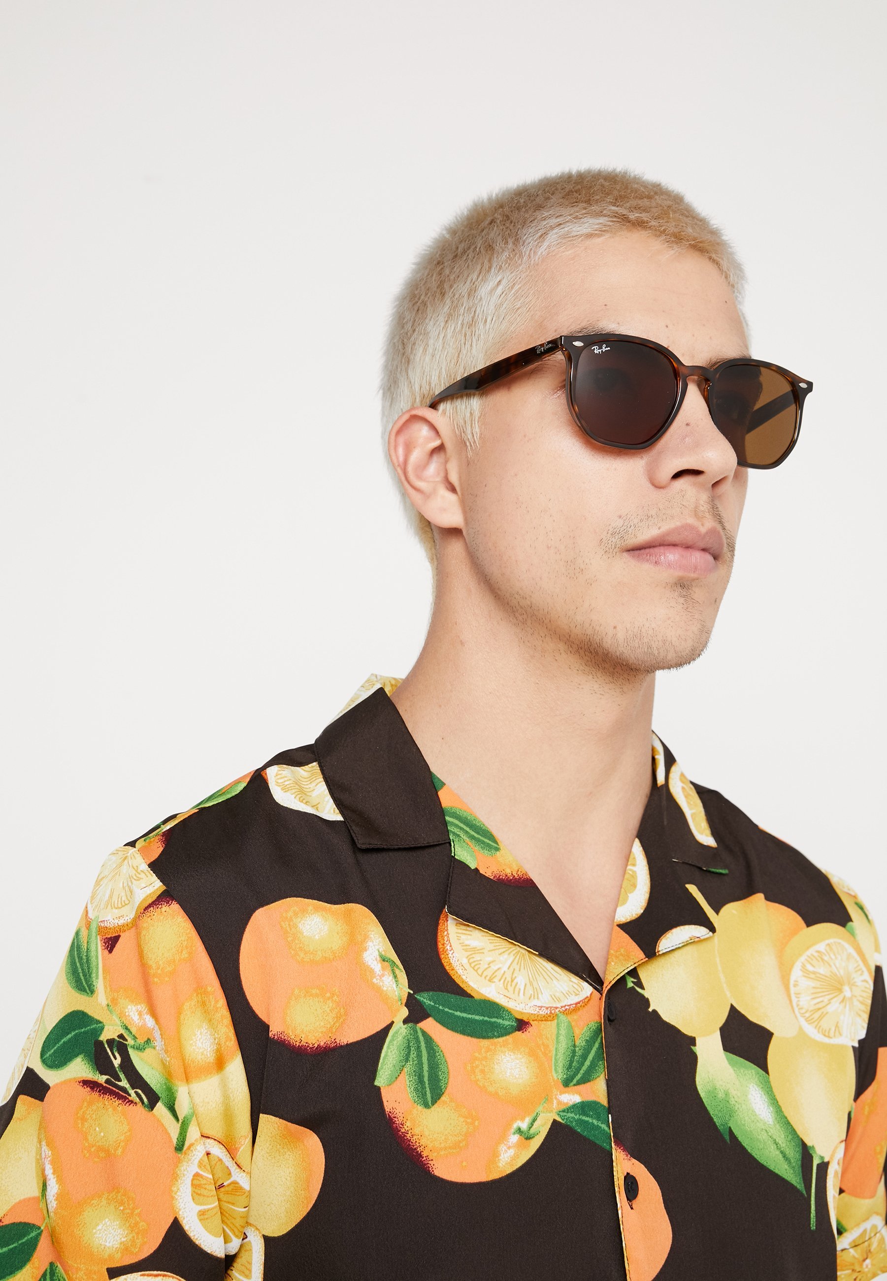 Ray-Ban UNISEX - Zonnebril - donkerbruin