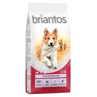 Briantos Adult Σολομός & Ρύζι