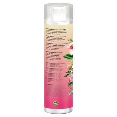 Novex Revitalizační šampon s kokosovým olejem 300 ml