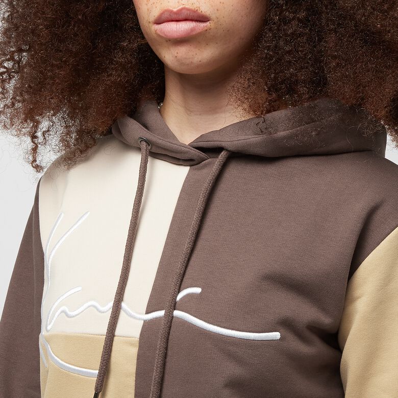 Sudadera con capucha Signature Block