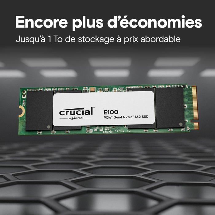 CRUCIAL E100 480G Gen4 2280