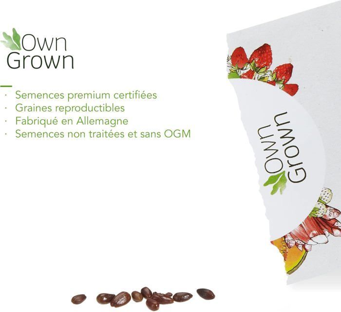 Graines d'Argousier : Kit semences d'Argousier pour environ 5 semis à planter et faire pousser - Graine d'arbre fruitier, fruit du