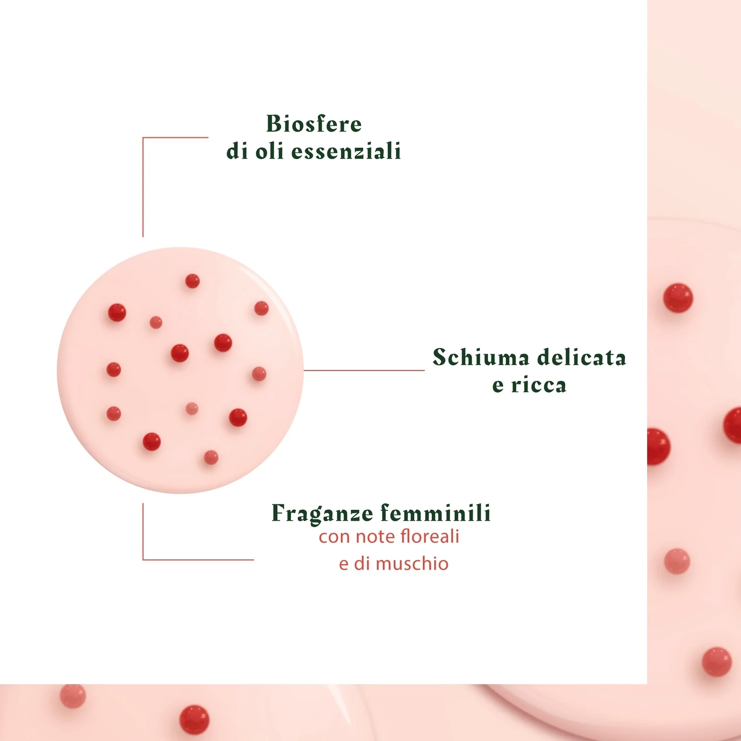 Tonucia Shampooing Repulpant - Shampoo Ridensificante