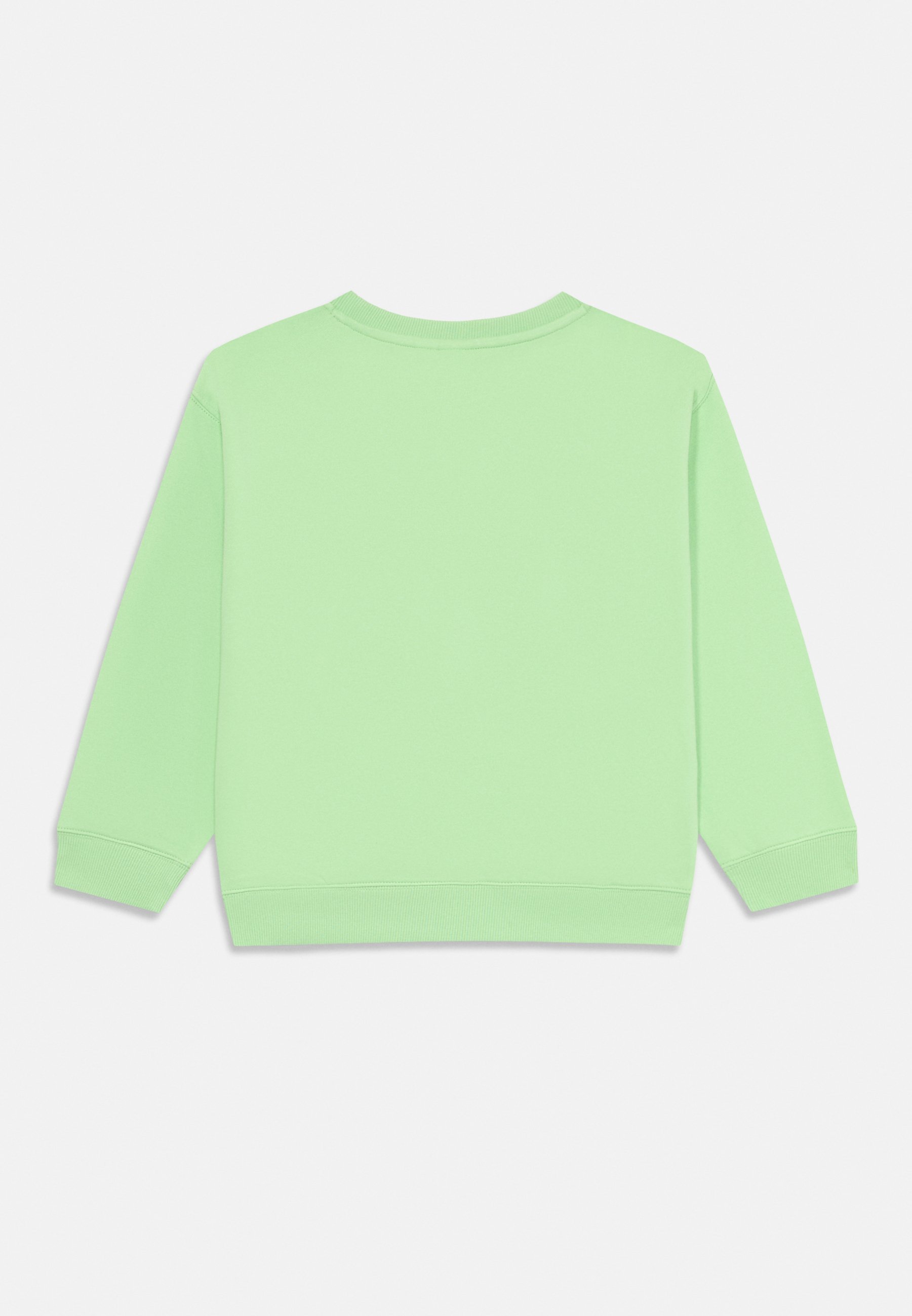 Roxy MORNING HIKE - Sweatshirt - pistachegroen
