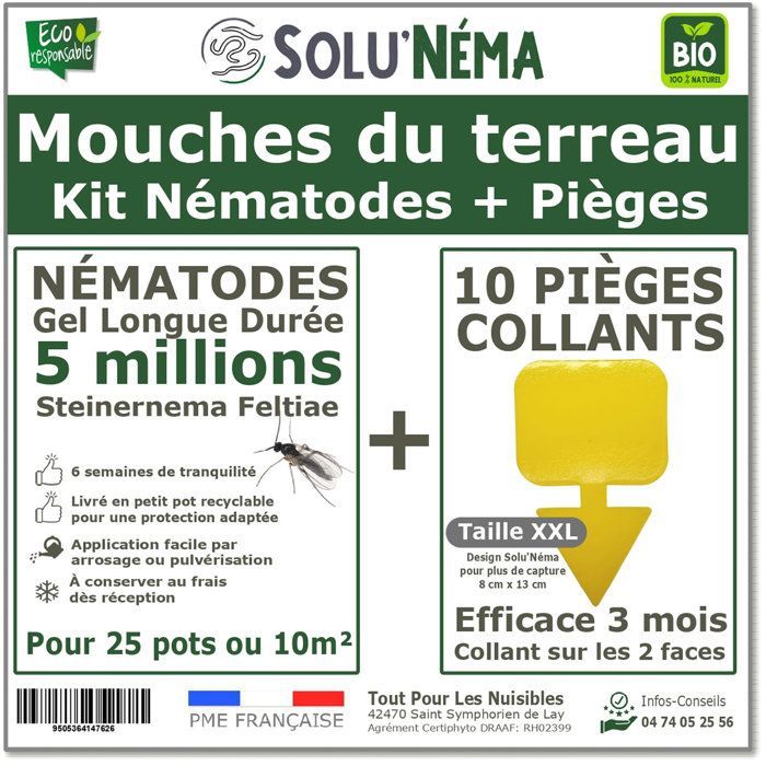 Kit para nematodos (5 millones) + 10 trampas adhesivas XXL - Contra mosquitas de los hongos - Trata 25 macetas