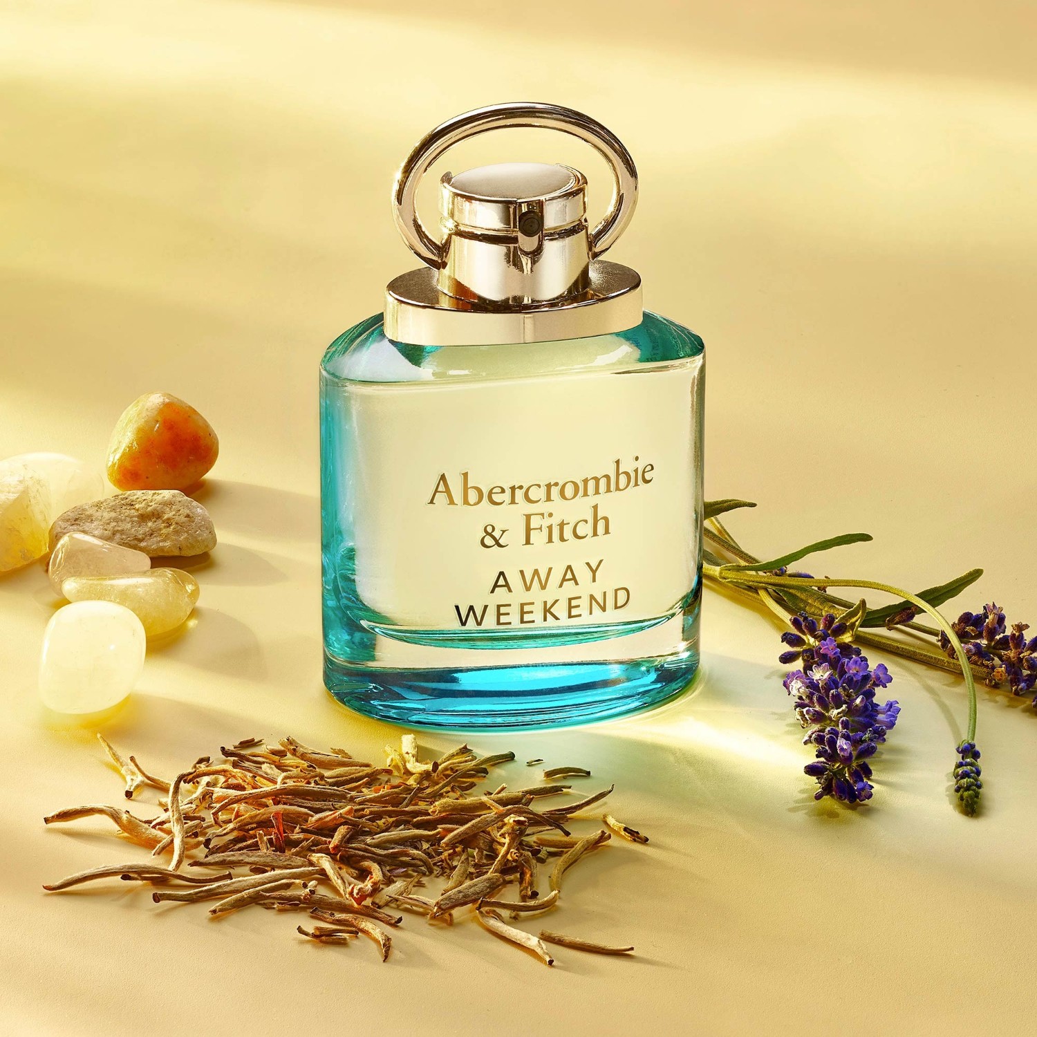 Abercrombie & Fitch WEEKEND Femme