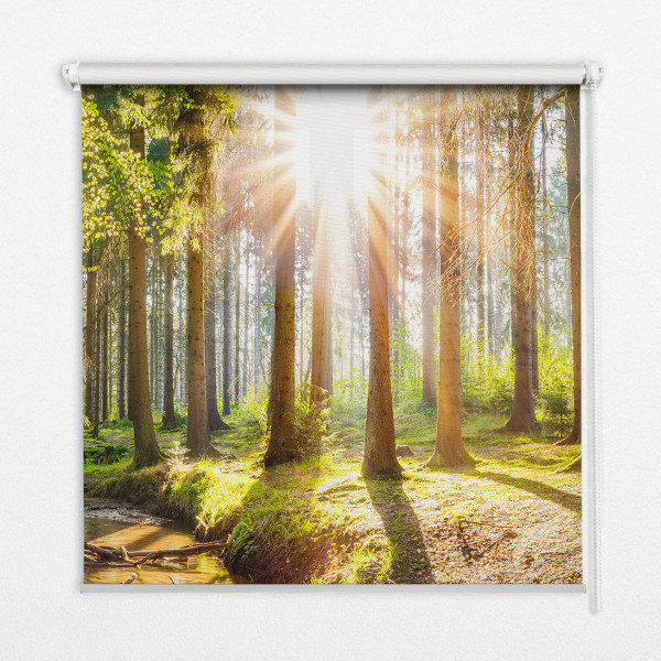 Roleta zaciemniająca wewnętrzna - 50x50 cm - Słońce