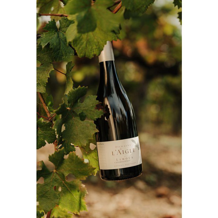 Domaine de l'Aigle Chardonnay 2023 Lot 6 Bouteilles 75cl