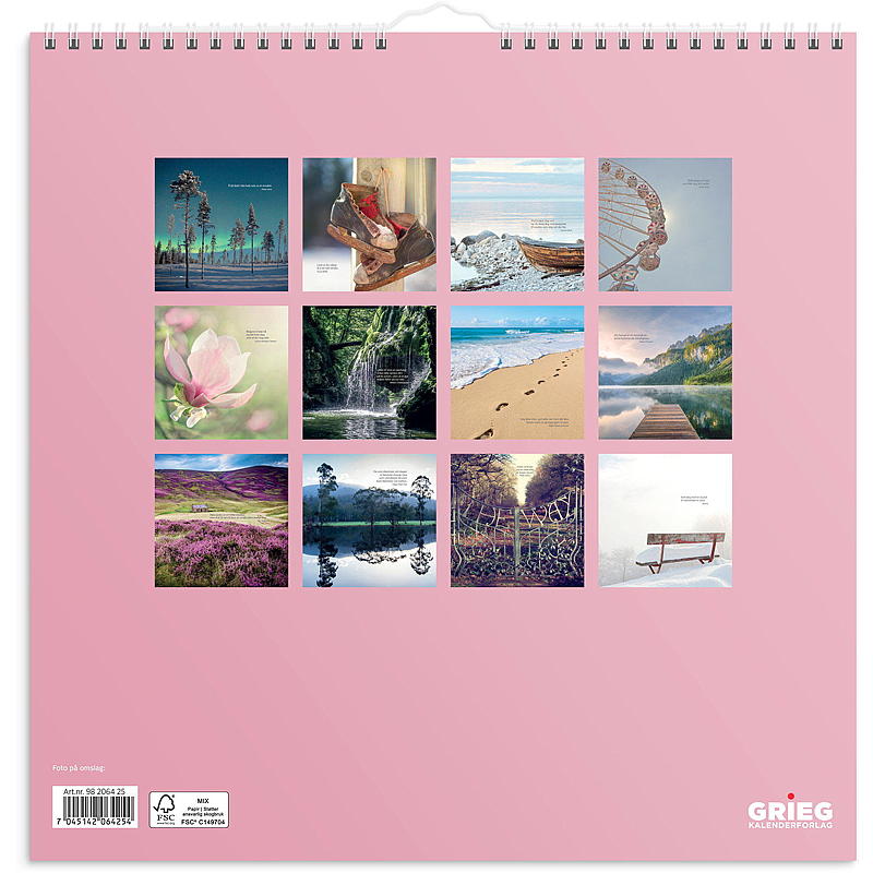 Calendario da parete Carpe Diem 2025