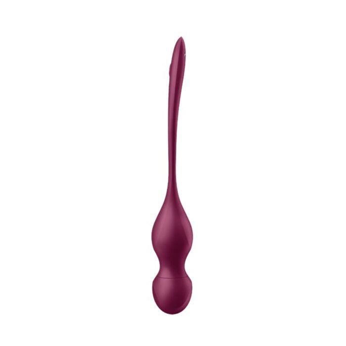 Satisfyer Love Birds Vary