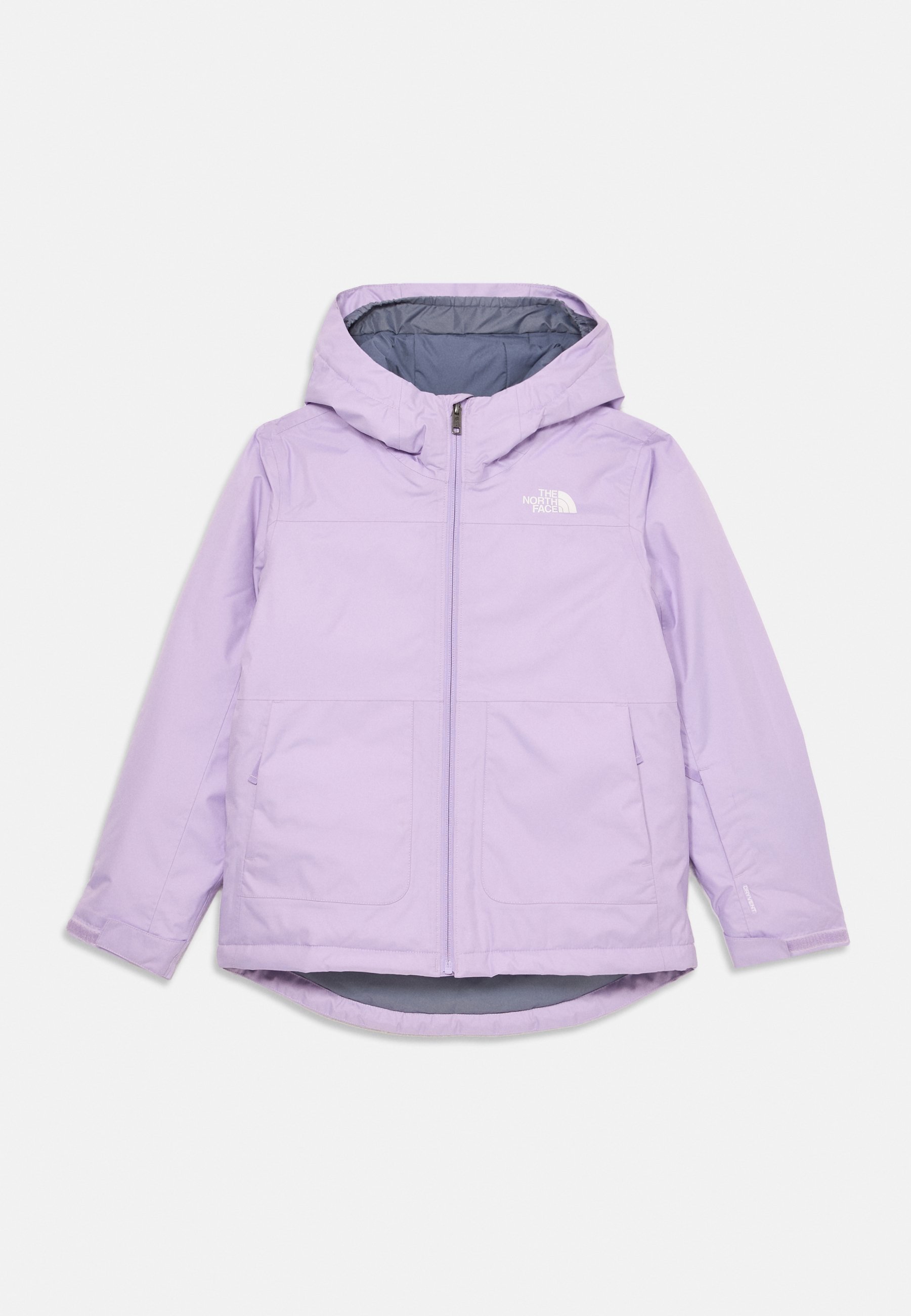 The North Face FREEDOM INSULATED UNISEX - Veste de ski - lilas clair