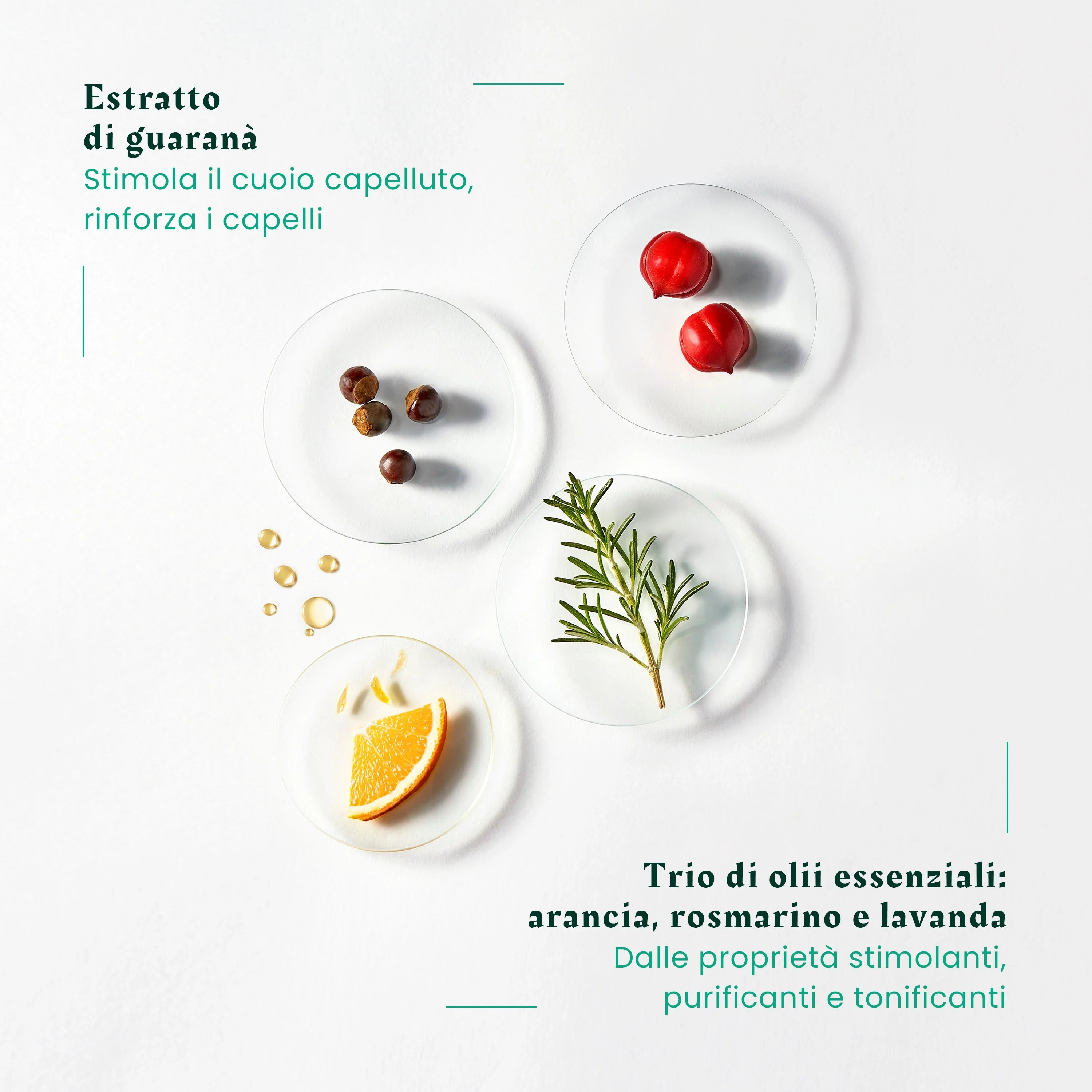 Forticea Shampooing Fortifiant Revitalisant - Shampoo Rinforzante, Shampoo Uso Frequente