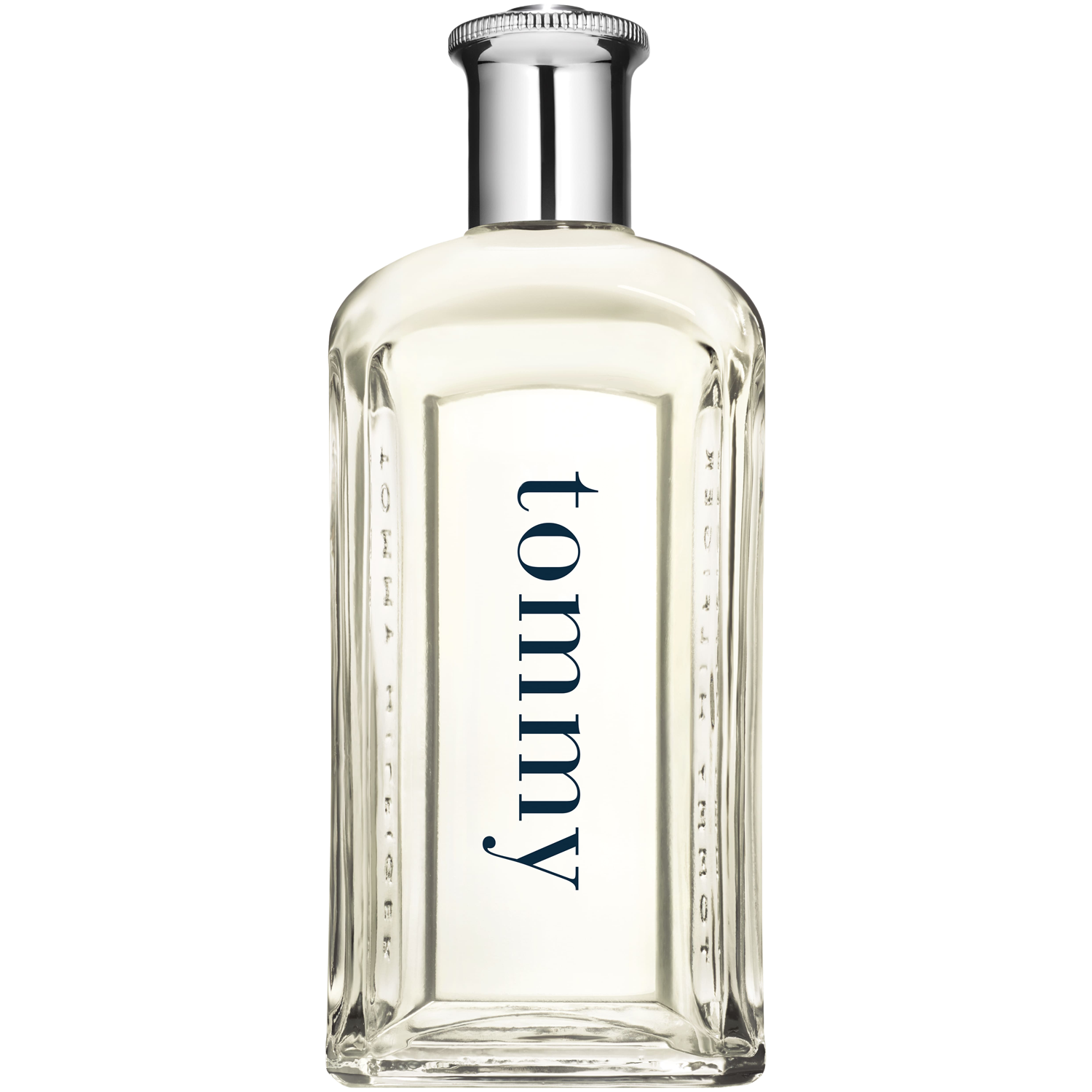 Tommy Hilfiger muška toaletna voda 100 ml Tommy