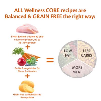 Wellness Core Original Trockenfutter für große Welpen