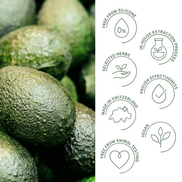 Rausch Farbschutzspülung mit Avocado 150 ml