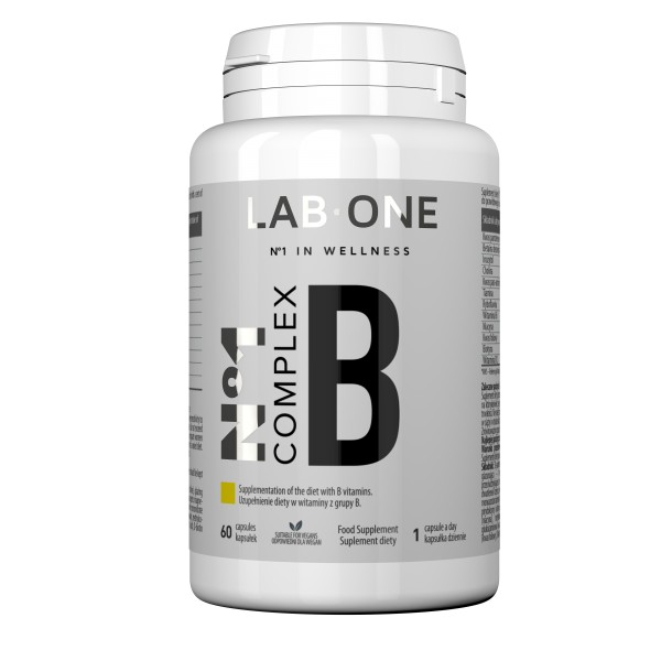 Lab One N°1 Kompleks B