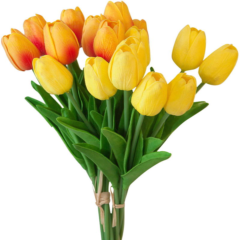 Tulipe d'intérieur, 7 pièces, 30 cm, jaune