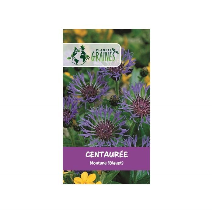 150 semi di fiordaliso di montagna (Centaurea montana), una pianta perenne dai fiori blu intenso e ricchi di nettare.