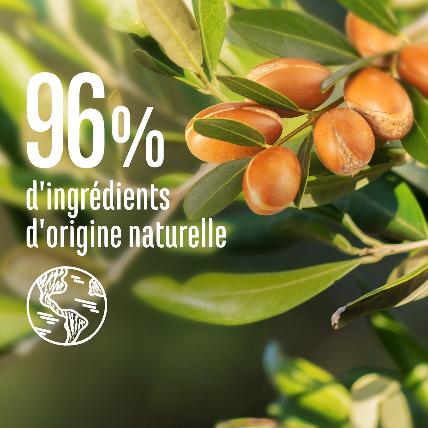 Le Petit Marseillais Shampooing Infusion Nutrition Calendulaet Argan Bio - Le flacon de